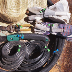 Bongo Ties TreeFrog Grip para Organizar Cables Pack de 10