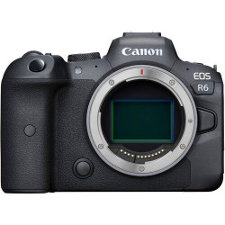 Canon Camara EOS R6 Mirrorless  (SOLO CUERPO)