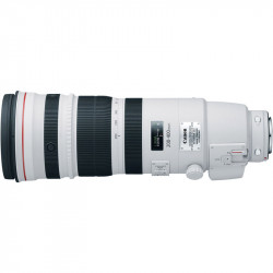 Canon Lente Zoom EF 200-400mm f/4L IS USM Extender 1.4x