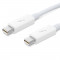 Apple MD862LL Cable Thunderbolt 50cm en color blanco