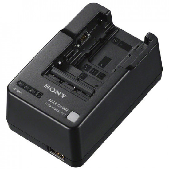 Sony BC-QM1 Cargador original Lithium-Ion