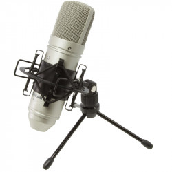 Tascam TM80 Studio Condenser Microphone