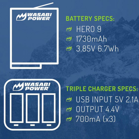Wasabi Hero Kit 2 Baterías y Cargador USB GoPro HERO 12