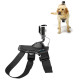 GoPro ADOGM-001 Fetch Mount  / Arnés para perros