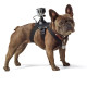 GoPro ADOGM-001 Fetch Mount  / Arnés para perros